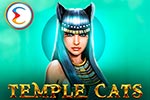 Temple Cats