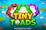 Tiny Toads